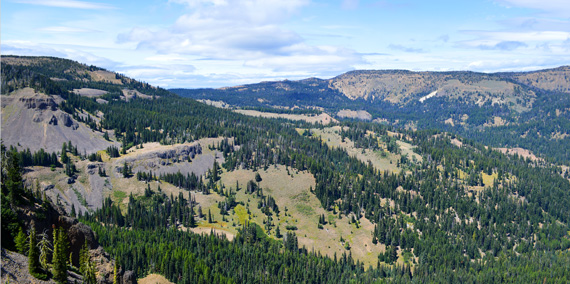 The 75,000-plus-acre Ahtanum State Forest, located in Yakima County, is a working forest managed by the Department of Natural Resources (DNR) to provide sustainable revenue in support of public services. Timber production, biomass byproducts, communication tower leases, and other activities help to fund local services, prisons, universities, and the construction of public K-12 grade schools throughout Washington.